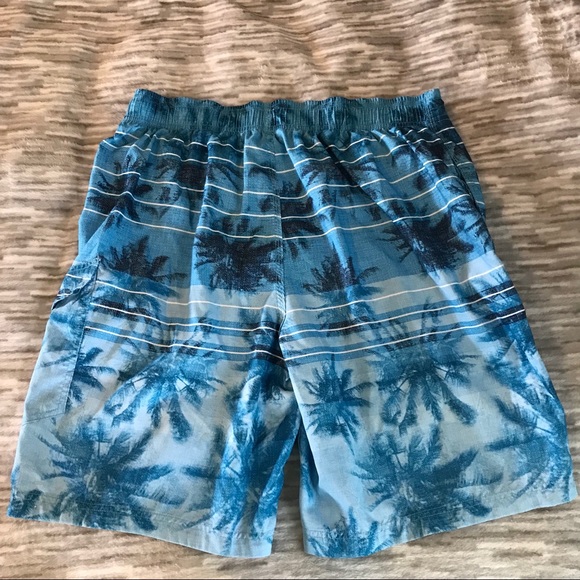 Speedo Blue Striped Palm Tree Swim Trunks - Picture 7 of 8
